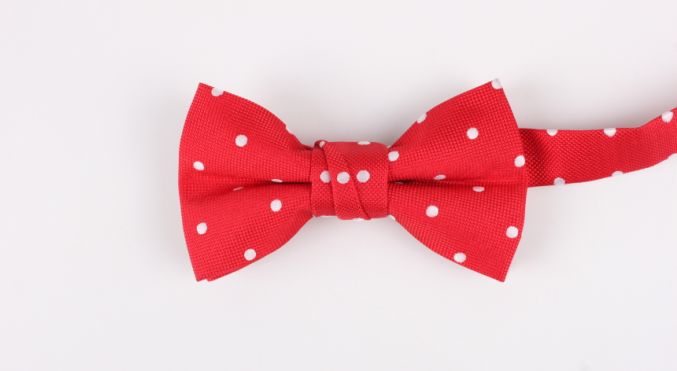 custom pets' bowties factory