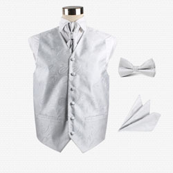 fashion men's vest set