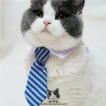 A beautiful gift for your pets-The new pets' ties designed by Xiuhe