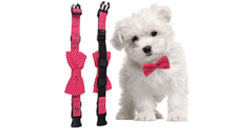 Xiuhe pet bow tie -- your pet's exclusive accessories