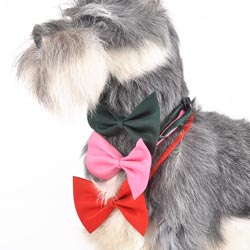 Custom various pets' bow tie