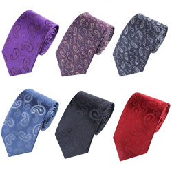 Fashion Paisley silk business tie