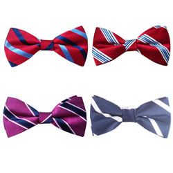2019 Fashion woven polyester bowtie for men
